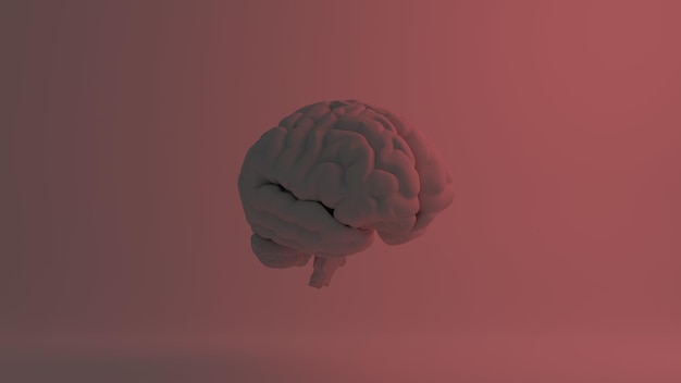 Cerveau 3d illustration avec feux rouges