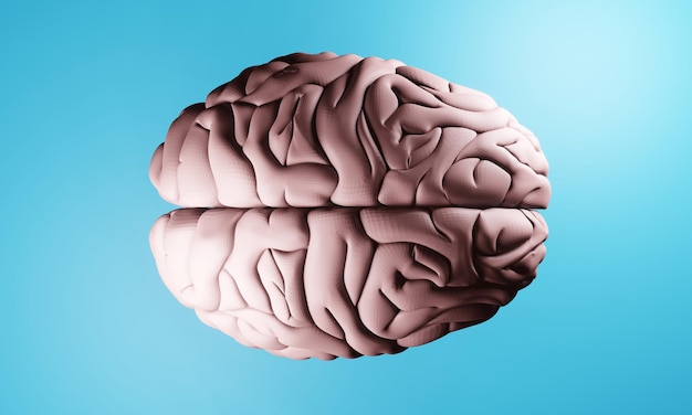 Cerveau 3d de l'illustration de la santé humaine rendant la santé de la cellule neuronale pense à l'idée sur le fond