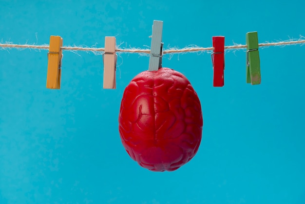 Le cerveau de couleur rouge est séché sur une corde à linge, sur une pince à linge.