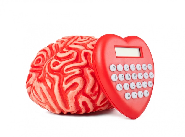 Cerveau humain en caoutchouc avec une calculatrice en forme de coeur