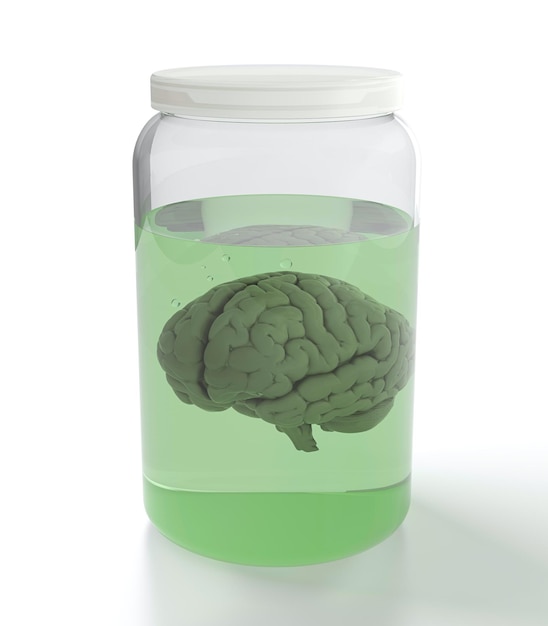 Cerveau en pot avec liquide