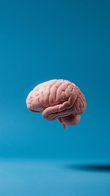 Un cerveau rose flotte sur un fond bleu solide