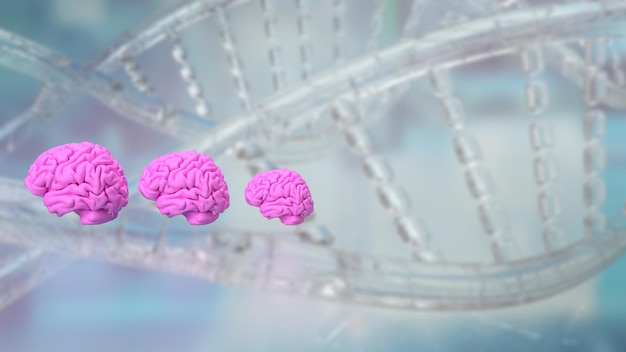 Le cerveau rose sur le rendu 3d de fond d'ADN