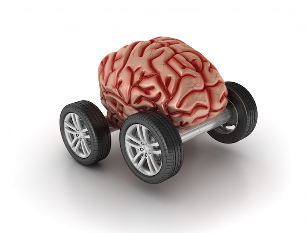 Cerveau sur roues