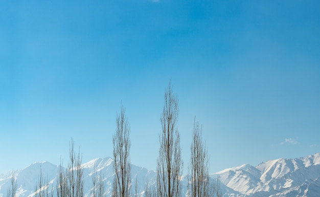 Chaîne de l'Himalaya avec ciel bleu et ombre claires et cadre en arbre