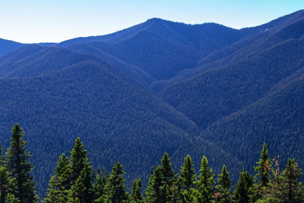 une chaîne de montagnes avec des arbres sur le côté et un ciel bleu en arrière-plan