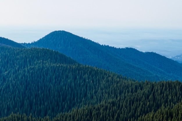 une chaîne de montagnes avec des arbres sur le côté