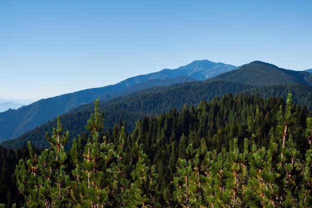 Photo une chaîne de montagnes avec des arbres et des montagnes en arrière-plan