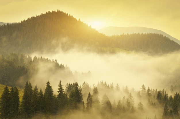 Chaîne de montagnes des Carpates au lever du soleil tôt le matin