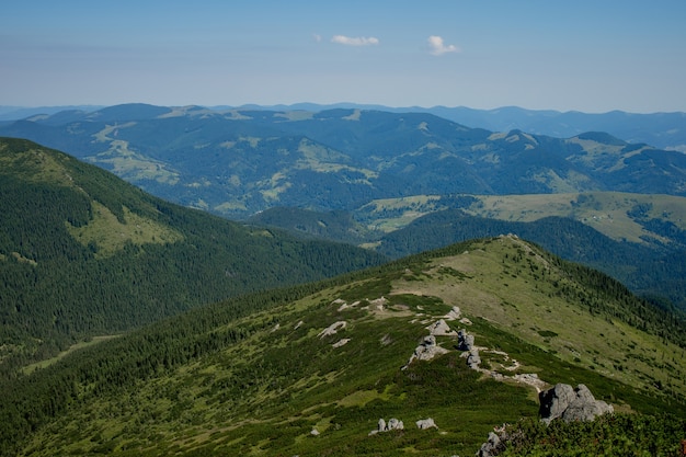 Chaîne de montagnes des Carpates au matin d'été