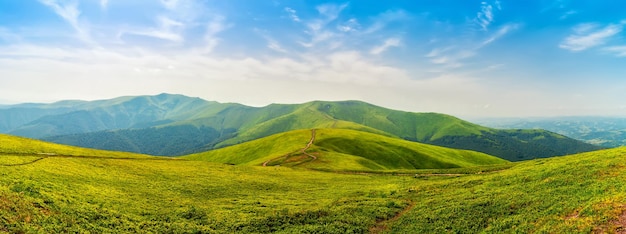 Chaîne de montagnes des Carpates Borzhava, collines verdoyantes et ciel bleu, paysage naturel d'été, vue panoramique.