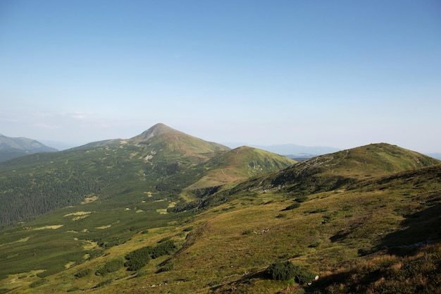 Chaîne de montagnes Collines vertes dans les Carpates à l'aube