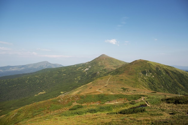 Chaîne de montagnes Collines vertes dans les Carpates à l'aube