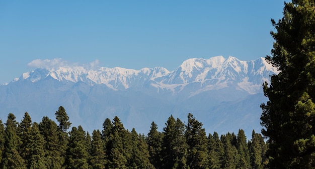 Chaîne de montagnes à côté du sommet de la montagne Nanga Parbat avec forêt de Fairy Meadow. Gilgit, Pakistan