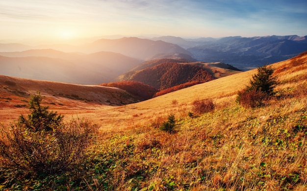 Chaîne de montagnes dans les Carpates à l'automne.