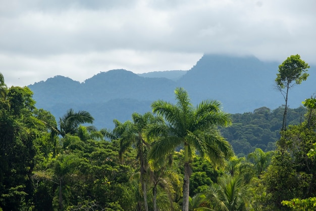 Chaîne de montagnes entre les nuages de pluie