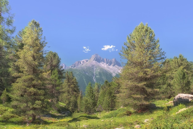 Une chaîne de montagnes est vue au loin