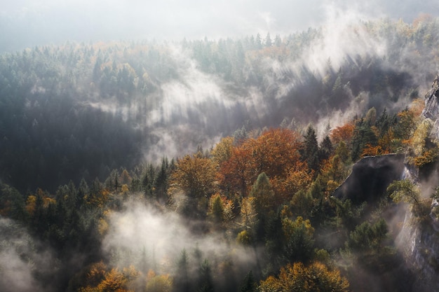 une chaîne de montagnes avec un groupe d'arbres