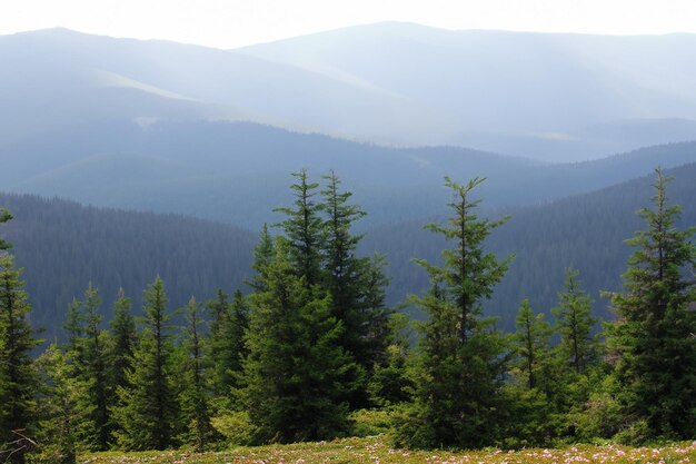 Photo une chaîne de montagnes avec une montagne en arrière-plan