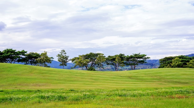 Photo chaîne de montagnes et pré au parc singha chiang rai, en thaïlande.