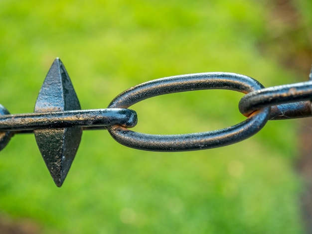 Chaînes métalliques sur fond vert