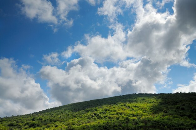 Chaînes de montagnes couvertes de forêt et de buissons