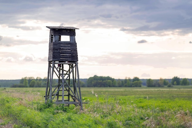 Chaire de chasse en bois sur le pré