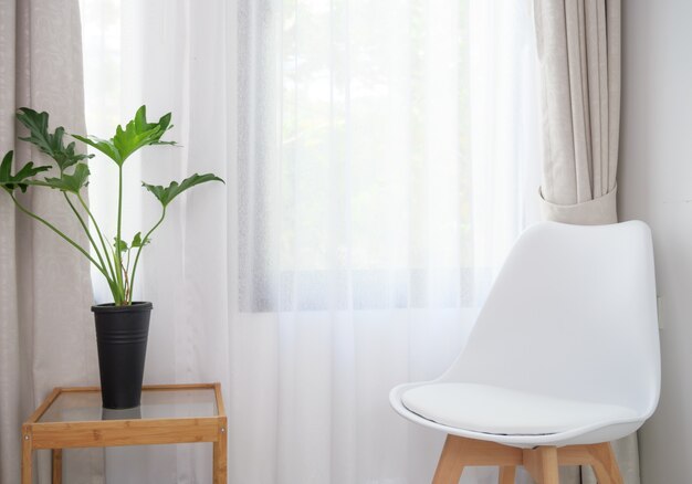 Chaise Blanche Moderne Et Selloum Philodendron Situé Dans Un Intérieur De Salon Blanc Avec Fond De Rideau Pastel Doux