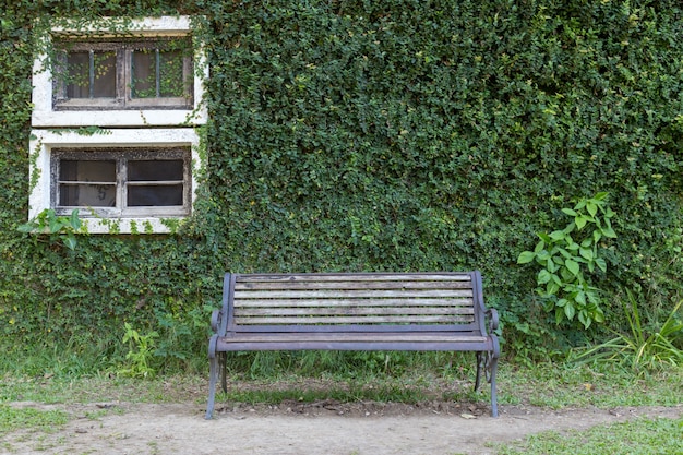 Chaise dans le jardin