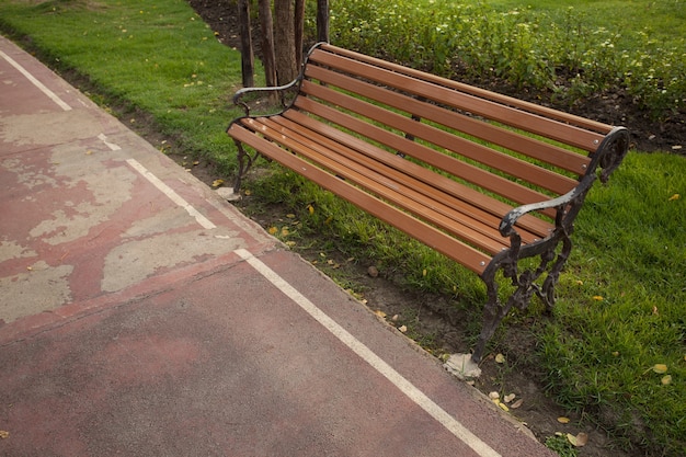 Chaise dans le jardin.