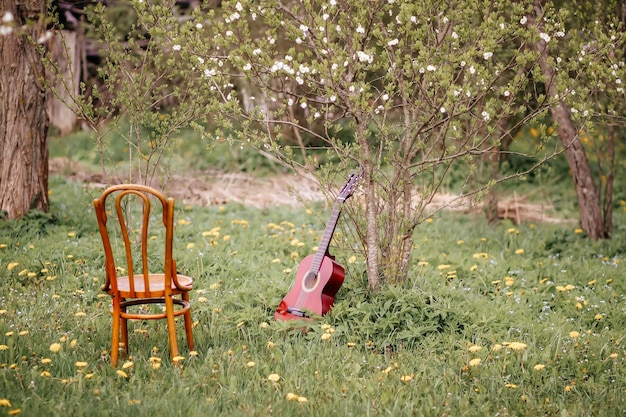 Chaise et guitare de Vienne dans le parc du printemps