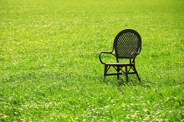 Chaise noire sur le champ de blé