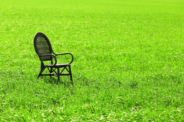 Chaise noire sur le champ de blé