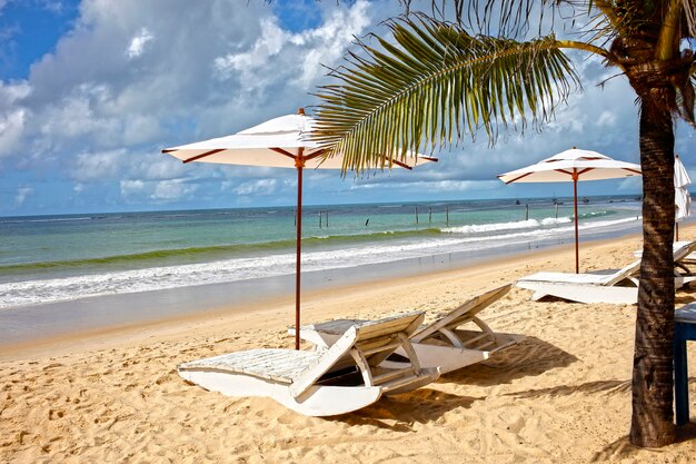 Chaise de plage et parasol