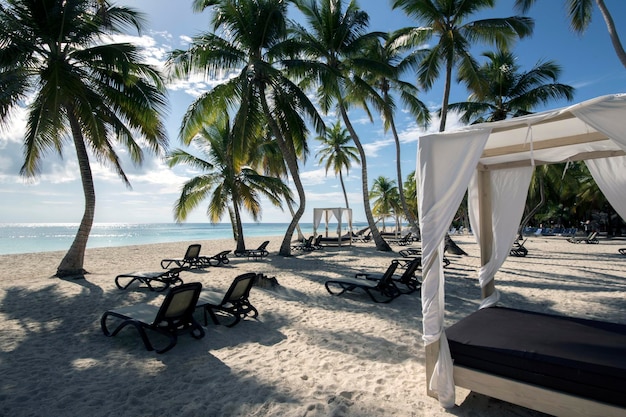 Chaises longues et un auvent sur la plage parmi les palmiers