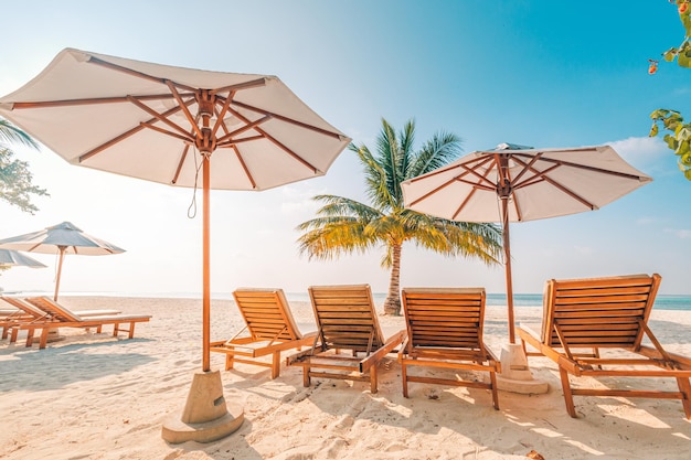 Chaises et parasols à Palm Beach. Bannière de vacances tropicales, station touristique, fond de voyage