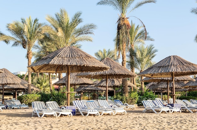 Photo chaises de plage et parasols sur la plage de la mer