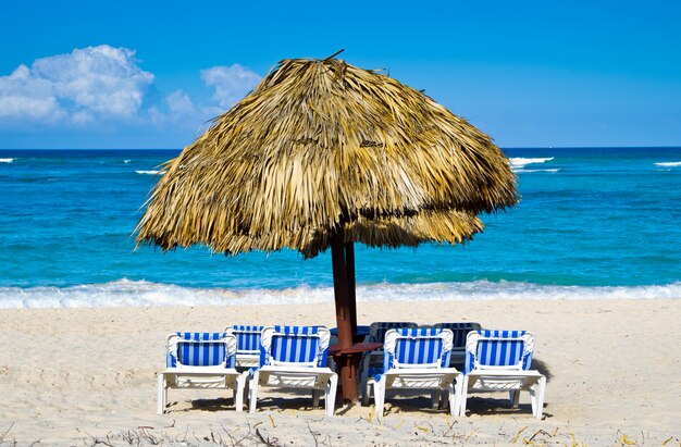 Chaises de plage sous la paume