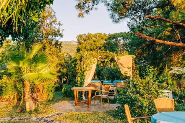 Photo des chaises vides et une table contre les arbres