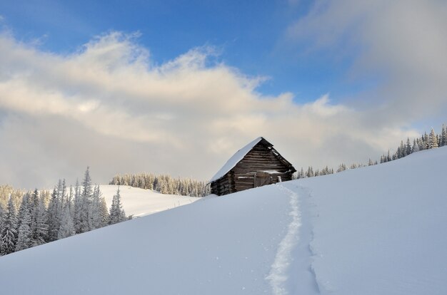 Chalet en bois dans les montagnes