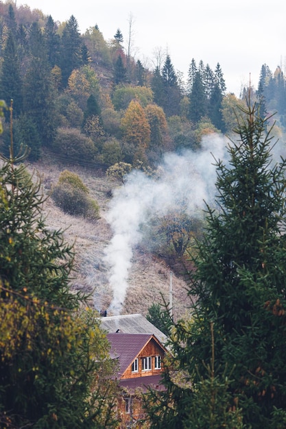 Chalet en bois sur une pente dans les montagnes parmi les sapins