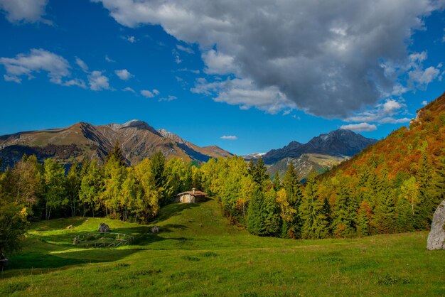 Chalet dans la nature