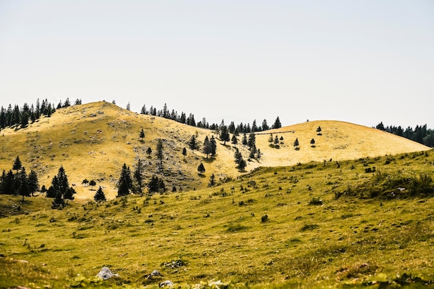 Chalet de montagne cabane ou maison sur la colline Velika Planina paysage de prairie alpine Agriculture écologique Destination de voyage pour la randonnée en famille Alpes de Kamnik Slovénie Grand Plateau
