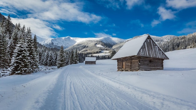 Chalets en bois et route enneigée en hiver Tatras