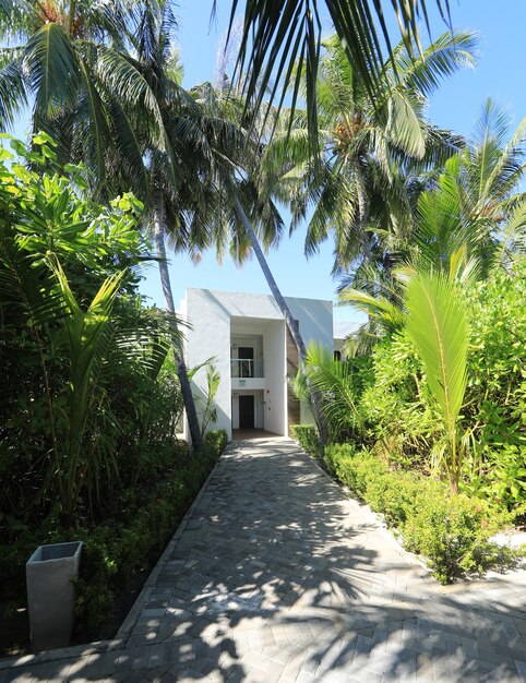 chalets de villégiature sur l'eau aux Maldives