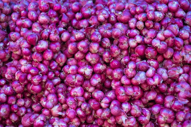 Échalote ou Allium ascalonicum L. sur le marché local.