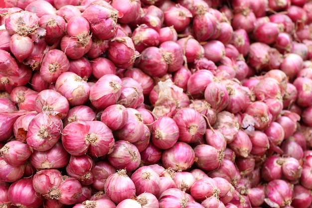 Échalotes au marché