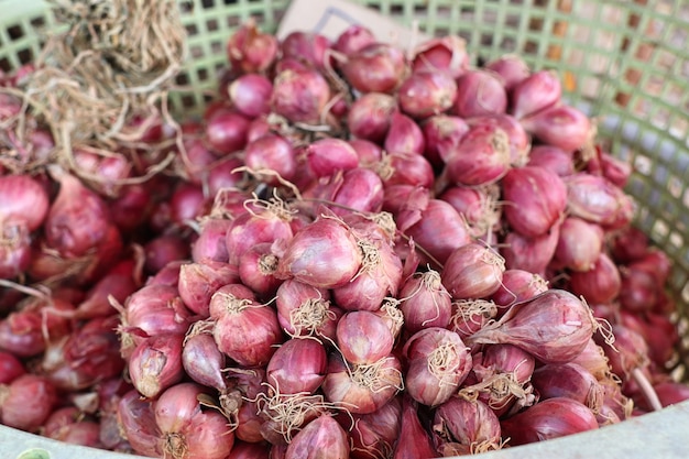 Échalotes au marché