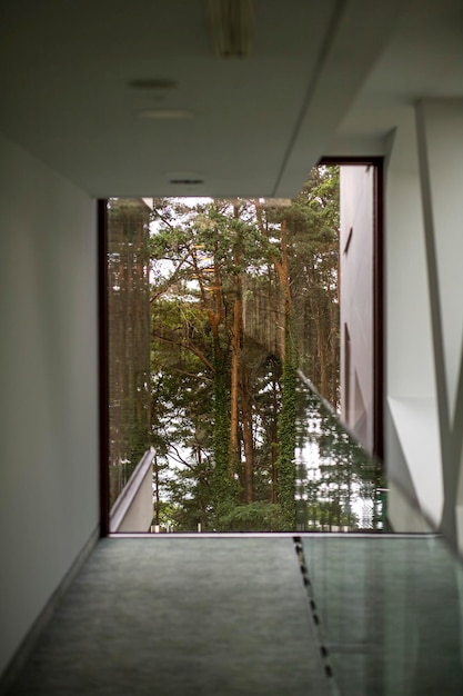 chambre avec une fenêtre dans la forêt