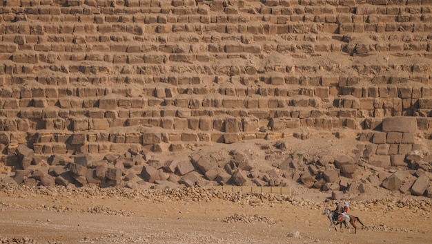 Chameaux dans le désert du Caire